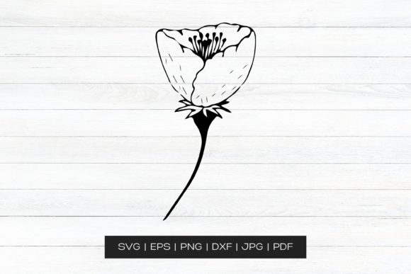 A Designer's Review of Hand Drawn Floral Clip Art